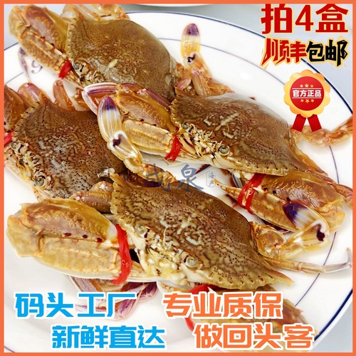 工厂批发 扁蟹肉蟹4盒包邮20盒起批新鲜活冷冻香辣蟹食材量大价低