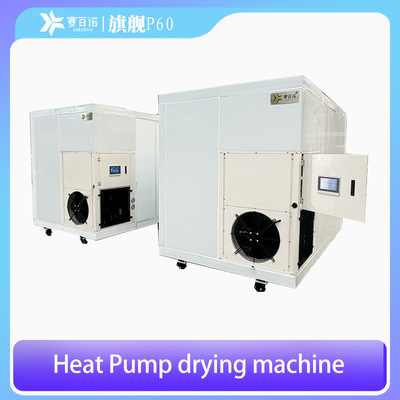 出口热泵水果蔬菜烘干机 Heat Pump Dryer Fruit Drying Machine