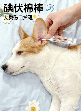 宠物酒精棉签一次性消毒碘伏棉棒耳朵清洁伤口预防便携独立包装