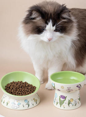 绿兔子花边陶瓷猫碗防黑下巴猫罐头食盆狗粮碗猫咪防打翻喂水SW26
