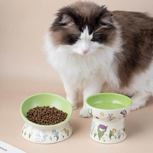 绿兔子花边陶瓷猫碗防黑下巴猫罐头食盆狗粮碗猫咪防打翻喂水SW11