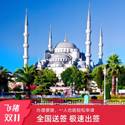 土耳其·旅游签证·移民局网站·10分钟出 拒签退款  国外护照可办 土耳其半年多次电子旅游签证  办港卡专用