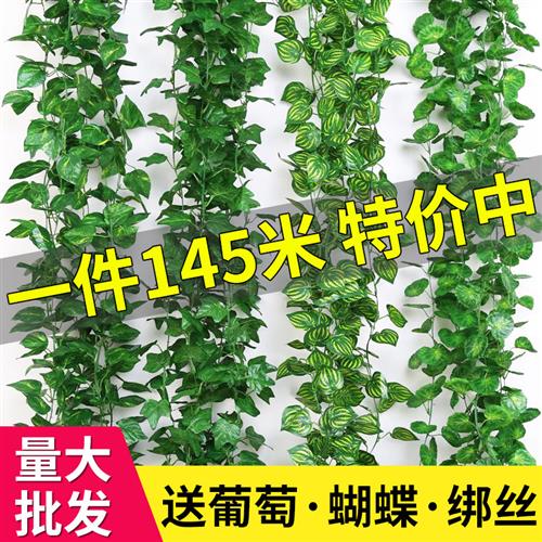 仿真葡萄叶假花藤条树叶吊顶绿叶装饰绿萝绿植物塑料藤蔓管道缠绕