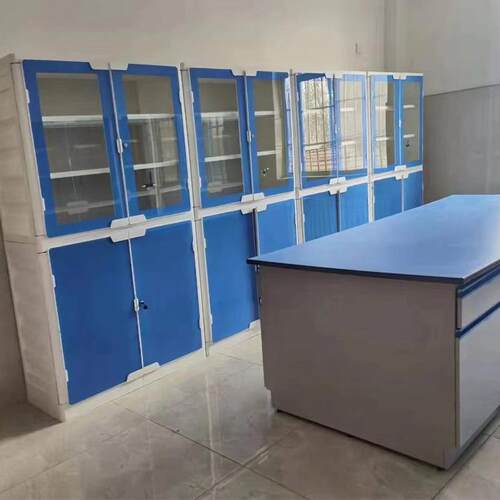 仪学校实室铝木器柜试剂柜器皿柜文件柜P006P柜全验柜木药品耐腐