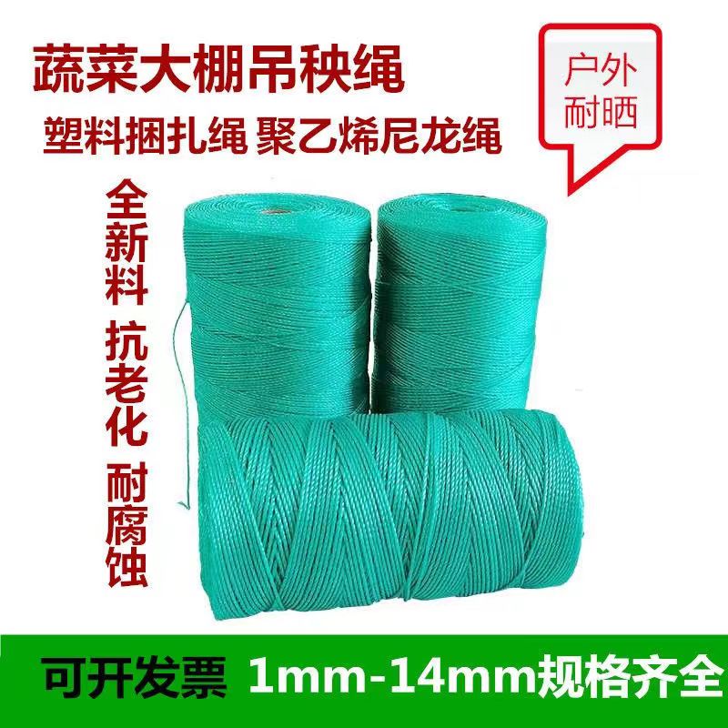 尼龙绳耐磨细绳聚乙烯塑料打包捆扎吊蔓大棚吊秧绳黄瓜西红柿吊绳