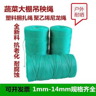 尼龙绳耐磨细绳聚乙烯塑料打包捆扎吊蔓大棚吊秧绳黄瓜西红柿吊绳
