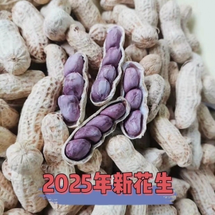 2025年新正宗福建龙岩连城四粒红衣咸水煮晒干紫衣花生湿烤五香脆