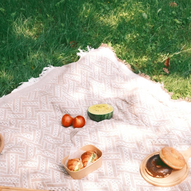 ins风野餐垫防潮垫加厚户外露营毯子沙滩垫春游垫子野外野营野炊