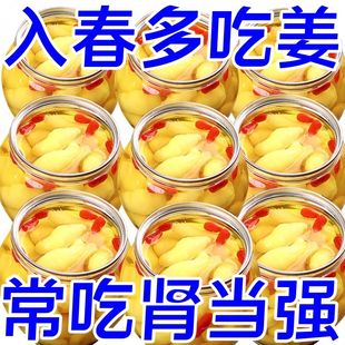 淄博枸杞泡姜芽酸甜腌制泡菜下飯菜仔姜新鮮嫩姜芽糖醋生姜姜片