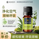ACACIA澳洲进口尤加利单方精油桉树提神通鼻改善呼吸植物香薰10ML