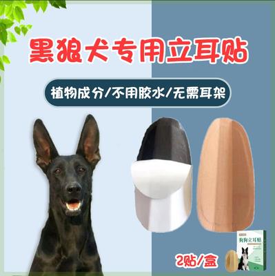 黑狼犬专用立耳器狗狗立耳朵神器幼犬立耳辅助器立耳贴小狗竖耳器