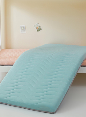 2026新款A类水洗棉加厚床垫学生宿舍寝室垫地铺睡垫90*190-学生款