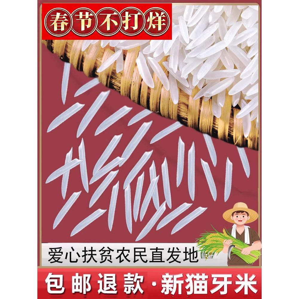 广西猫牙香米当季新米煲仔饭丝苗大米蛋炒饭长粒香米油粘米农家米