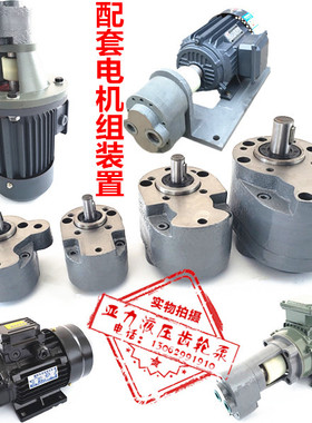 CB-B2.5/B4/B6/B10/B16/B20/B25/B32/40/63/50/100/125F齿轮泵TH