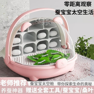 蚕宝宝学生养蚕套装幼虫饲养观察