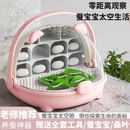 蚕宝宝学生养蚕套装蚕卵活物幼蚕观察饲养盒箱桑叶豪华别墅太空舱