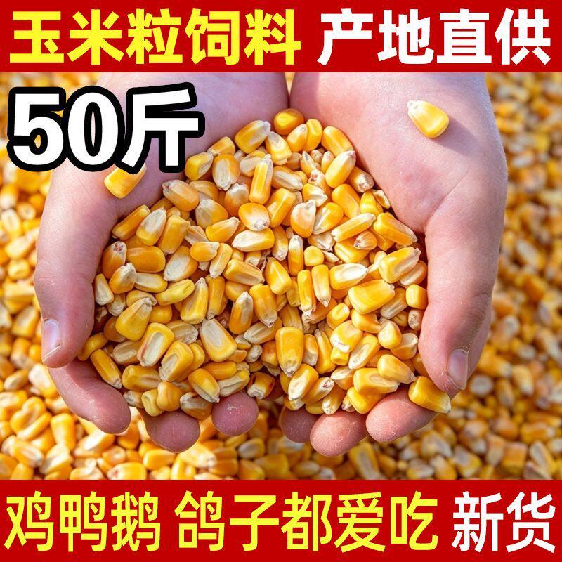 河南农家新粮养殖专用原料酿酒