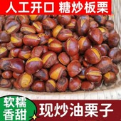 现炒糖烤炒栗子仁即食熟板栗带壳开口好去皮坚果散装 休闲零食批发