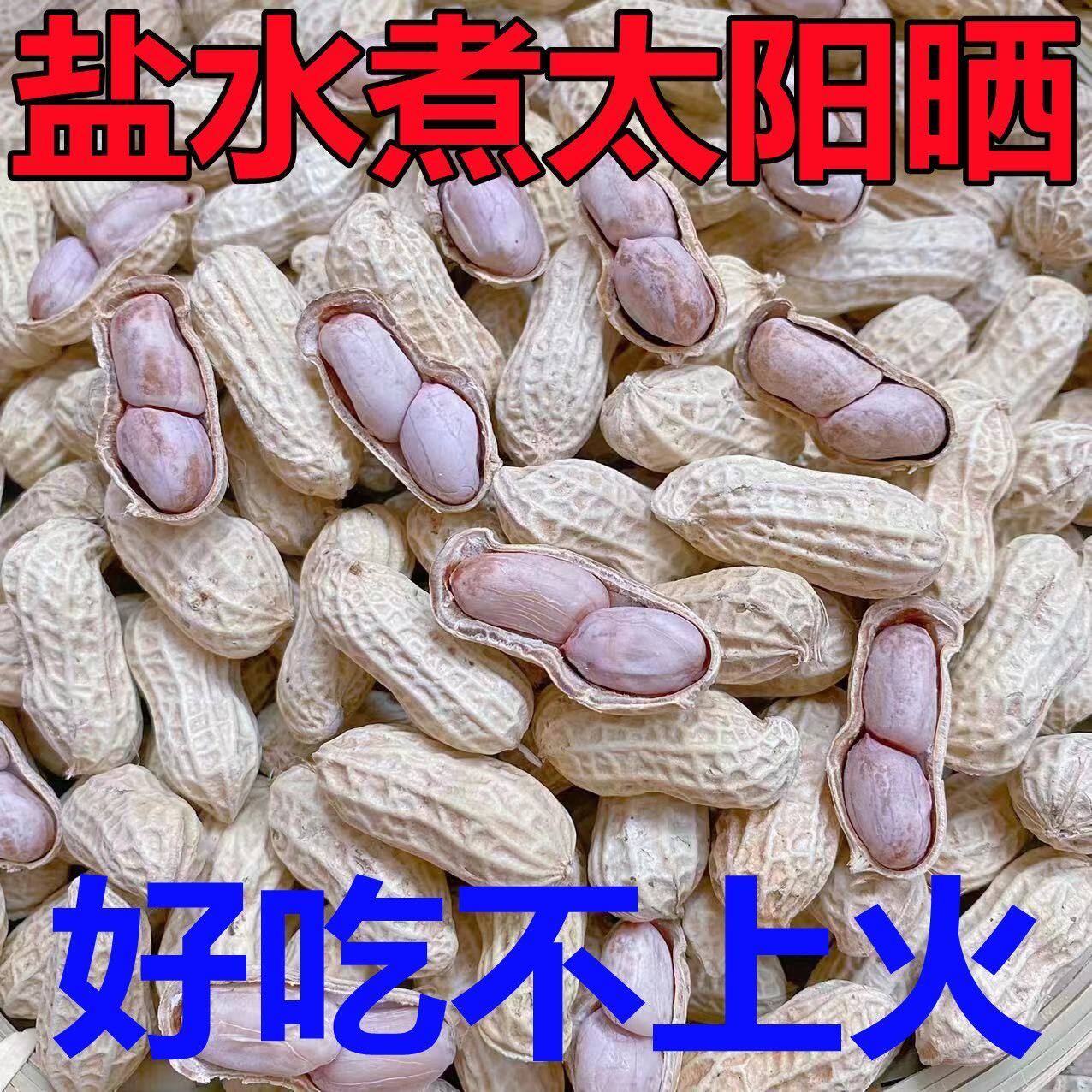 新龙岩水煮花生白晒干盐水煮咸干湿烤500gx2袋装散带壳熟零食特产