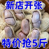 原味水煮白晒花生水煮晒干带壳白晒花生盐水咸干花生有嚼劲熟咸味