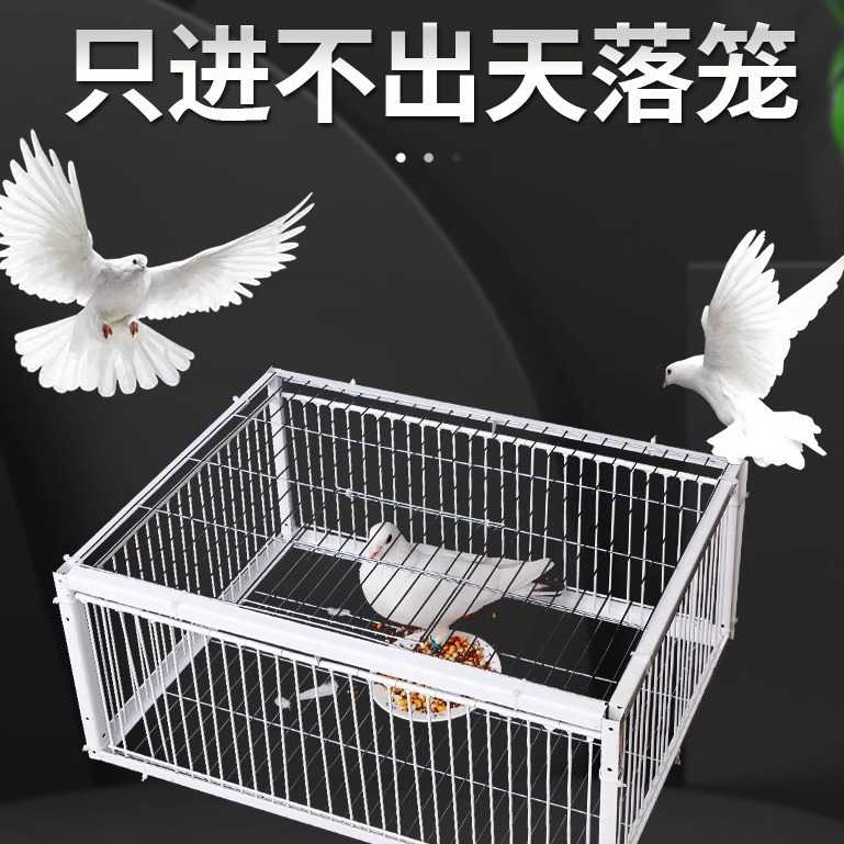只进不出鸟笼全自动天落笼子撞门