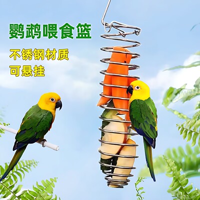 鹦鹉不锈钢水果篮蔬菜玉米苹果叉