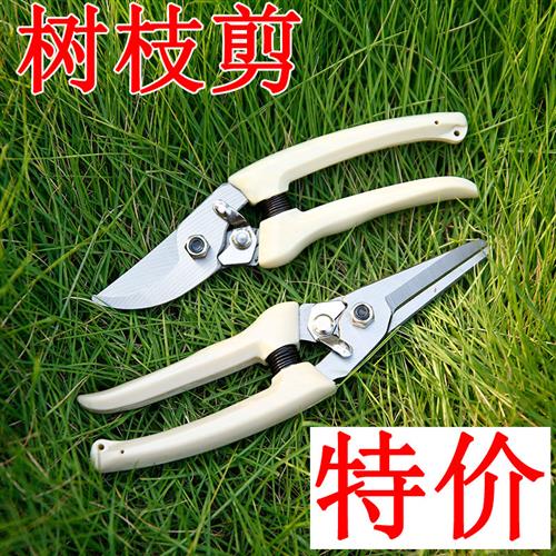 修枝剪 花剪树枝剪刀园艺剪园林剪果树五金工具修剪修花花艺葡萄
