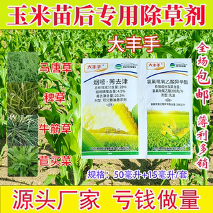 大丰手玉米苗后除草专用剂玉米地除草剂烟嘧莠去津尖叶圆叶烂根剂