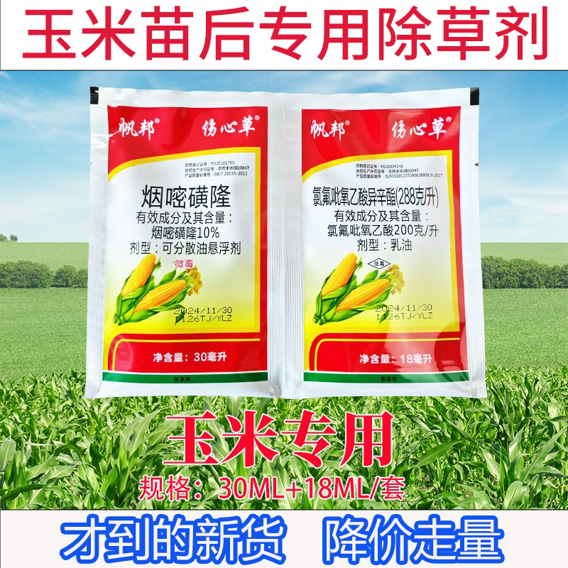 帆邦伤心草玉米地除草专用玉米田除草剂玉米田苗后除草剂禾阔双除