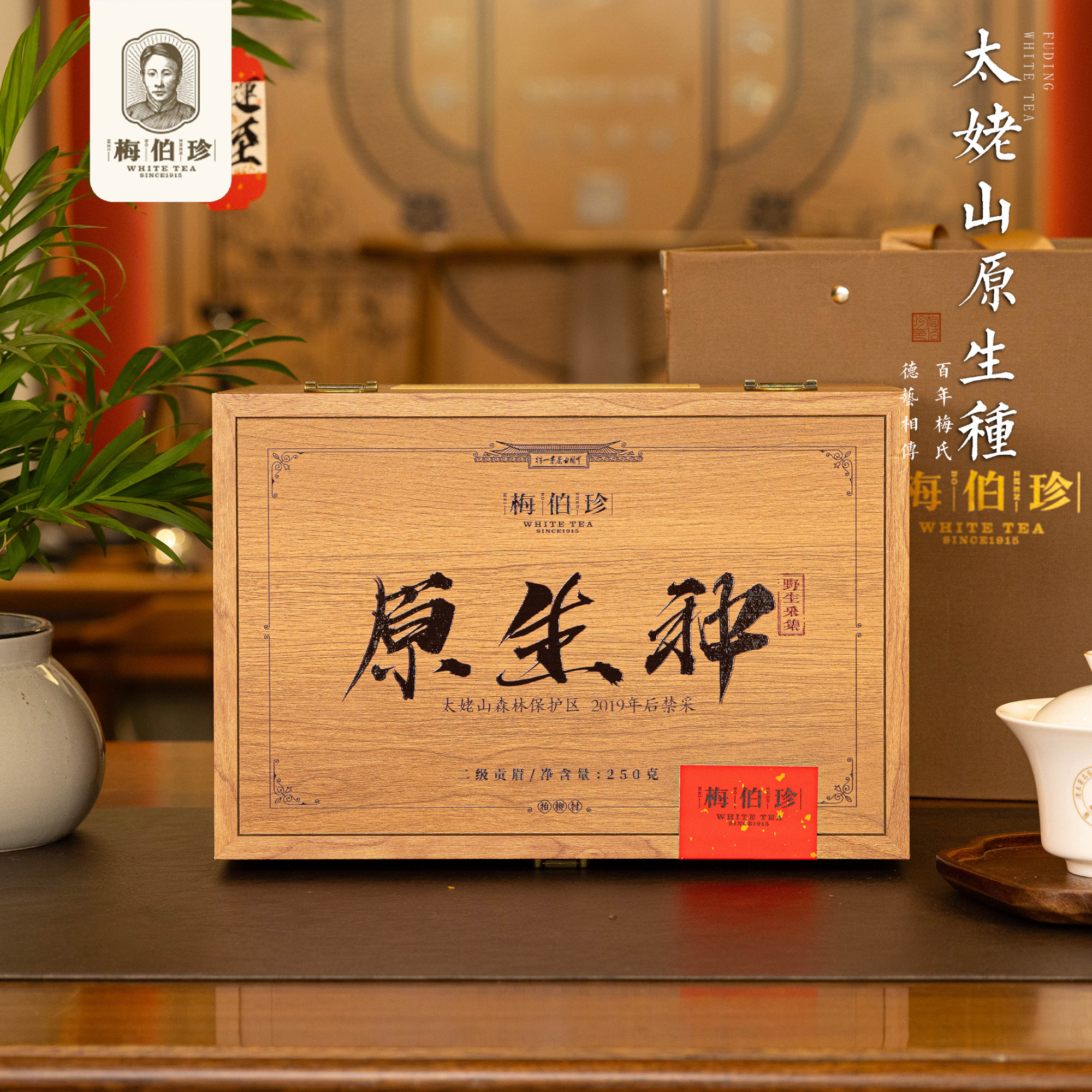 福鼎白茶2018年贡眉250g