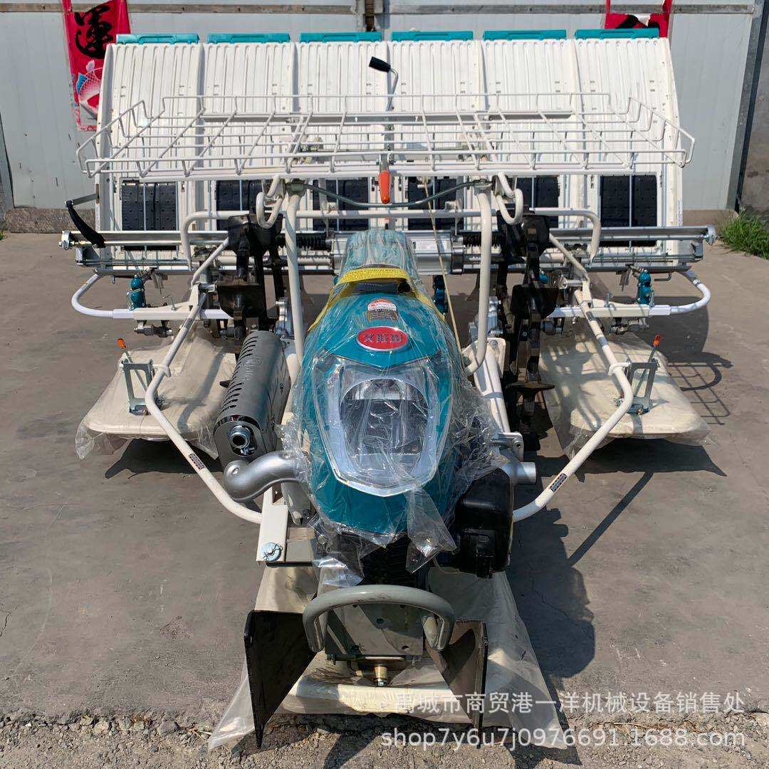 厂家供应四行六行插秧机自走式手扶式水稻秧苗种植机 水稻插秧机