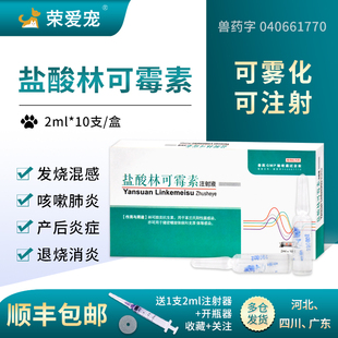 林可霉素注射液兽用狗狗产后消炎猫鼻支咳嗽猫肺炎药雾化尿路感染
