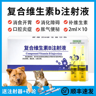 宠物复合维生素b注射用液复合vb猫咪狗狗犬厌食不吃皮肤病口腔炎