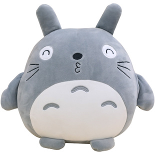 龙猫暖手抱枕被子两用毯子二合一汽车车载用靠枕睡觉办公室午睡毯