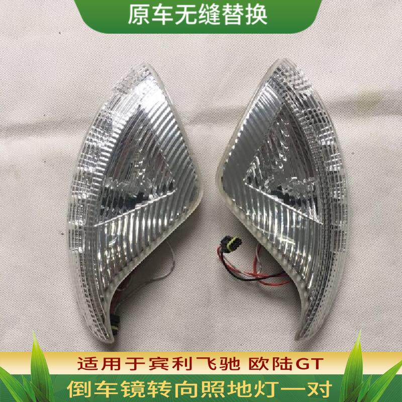 适用宾利飞驰倒车镜左右转向灯欧陆GT后视镜照地侧灯进口汽车配件