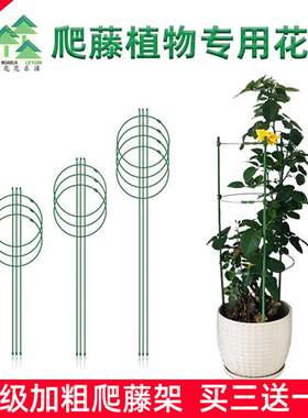 花架爬藤架黄金葛架子室内铁线莲花支架月季花架蟹爪兰支架花支伸
