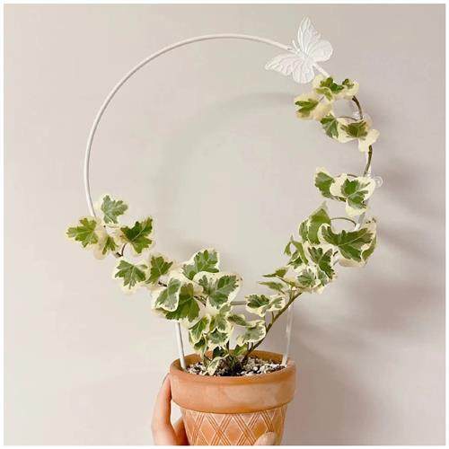 小植之家 雪莹花架室内绿植攀爬支架圆形心形带蝴蝶山乌龟爬藤架