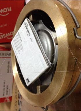 议价德国杰斯特拉GESTRA止回阀RK44 DN80