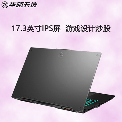 华硕17.3寸屏炒股天选3Plus手提
