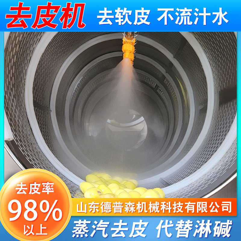 德普森工业玫瑰葡萄物理快速蒸汽去皮机 商用葡萄罐头生产线设备