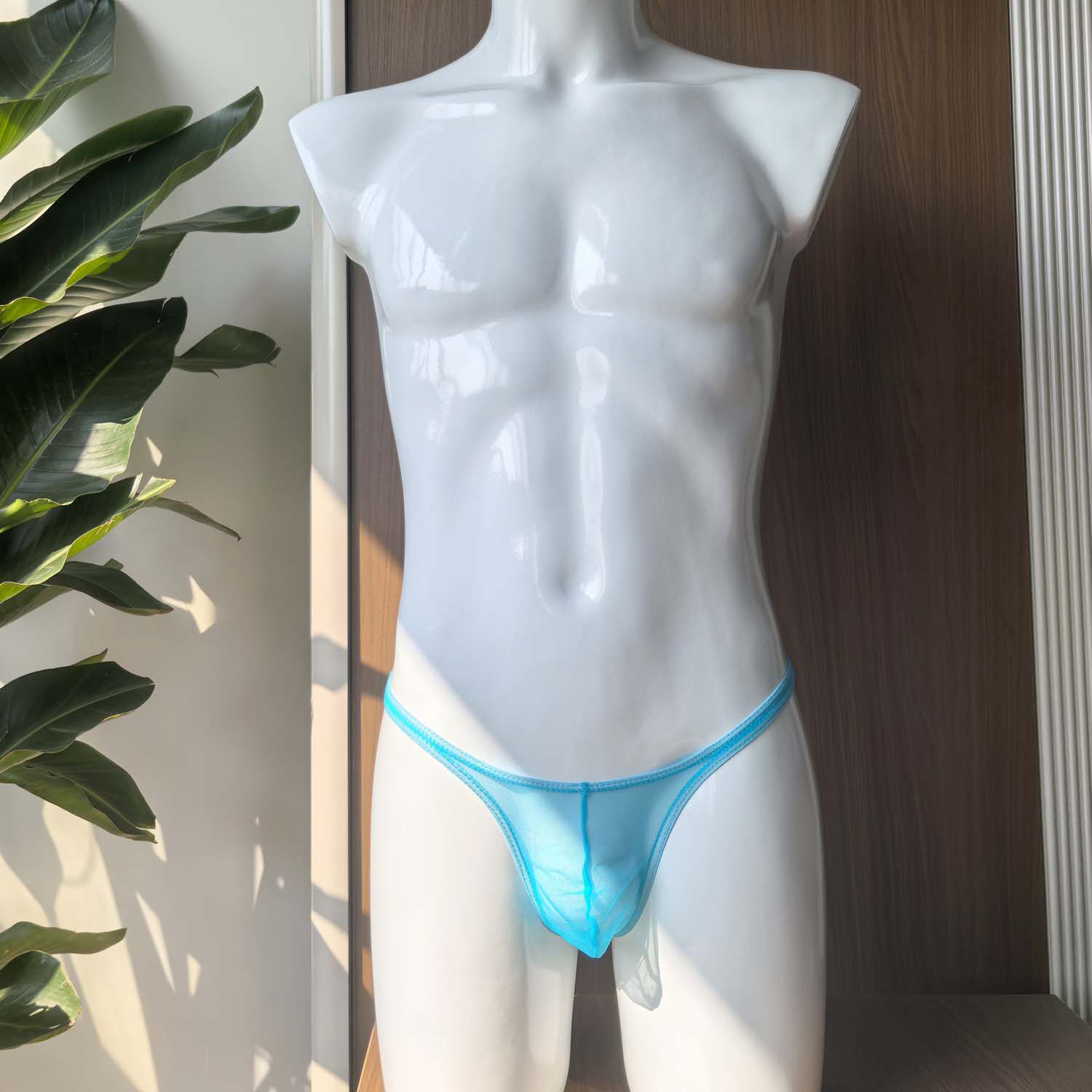 男士性感低腰无痕透视单丁字裤