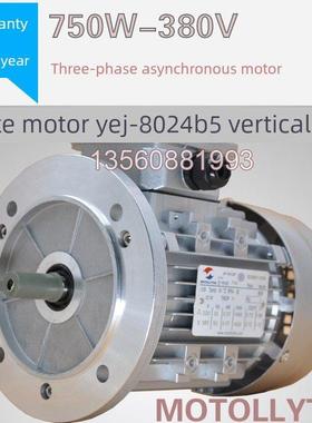 制动电机Yej8024三相异步电机750W 380V铝壳全铜电机联正