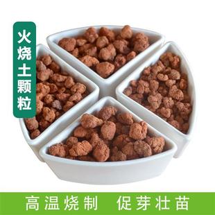 高温烧制火烧土兰花石铺面石红土颗粒营养土陶粒珍珠岩兰园火山石