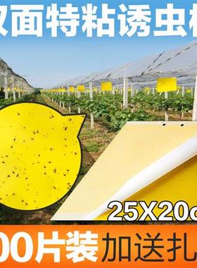 黄色粘虫板黄板双面诱虫板包邮果园飞虫粘虫蓝板黏虫板大棚防虫板