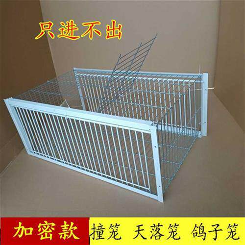正品加密天落笼只进不出鸽笼子信鸽连续自动进入鸽笼活络条撞门笼