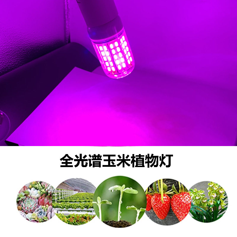 新款led植物玉米灯泡E27 96珠5730夹子植物生长灯多肉植