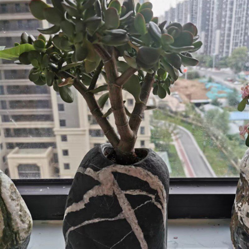 天然石头个性花瓶花盆多肉鹅卵石创意笔筒插花花器富贵竹水培绿萝