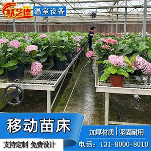 育苗床移动苗床网温室农业种植镀锌苗床架子多肉栽培花圃苗床网片