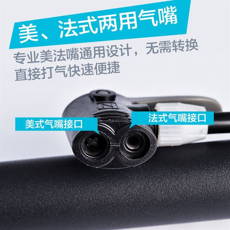 SAVA高压打气筒山地自行车迷你便携家用汽车电动充篮球单车
