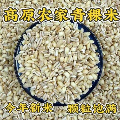 当季新米老品种丨含胚芽丨昆仑14号黄金白青稞青海藏区高海拔产地